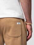 Spodnie męskie dresowe typu jogger - brązowe V2 OM-PABS-0173